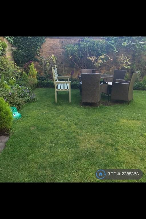 Back Garden