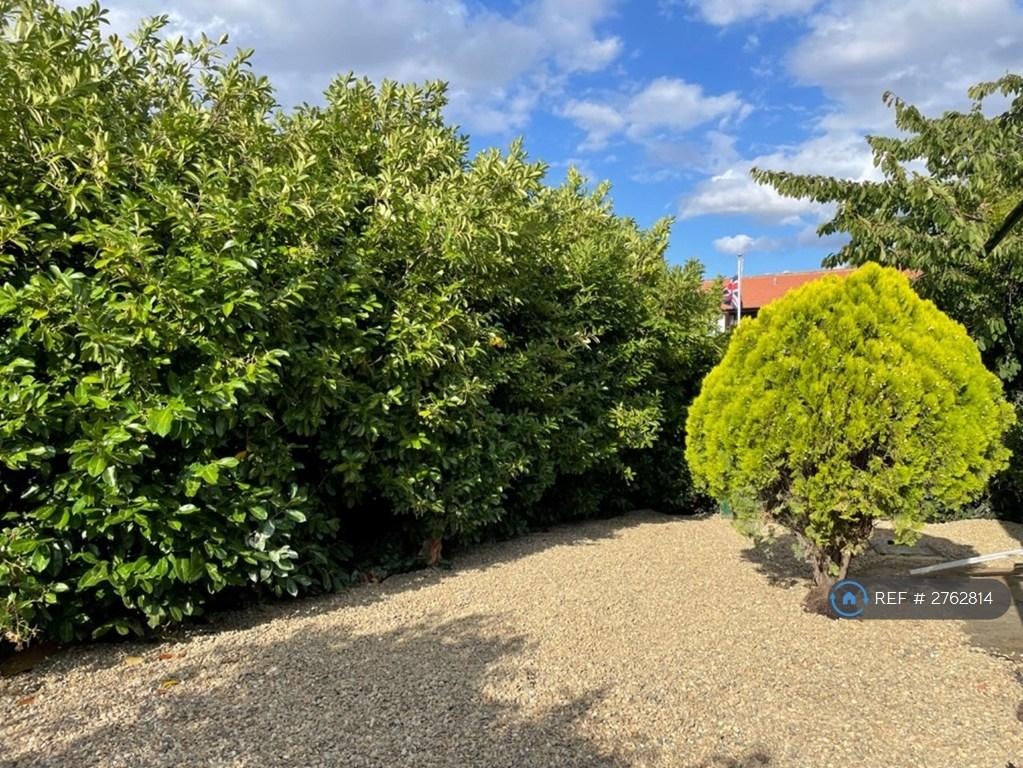 Nice Garden