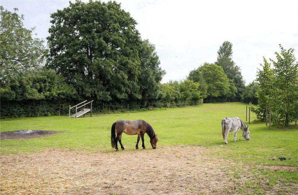 Paddock