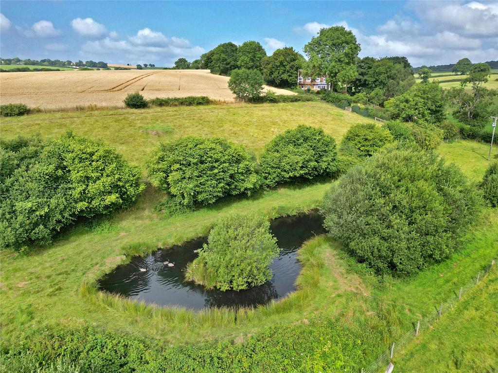Grounds