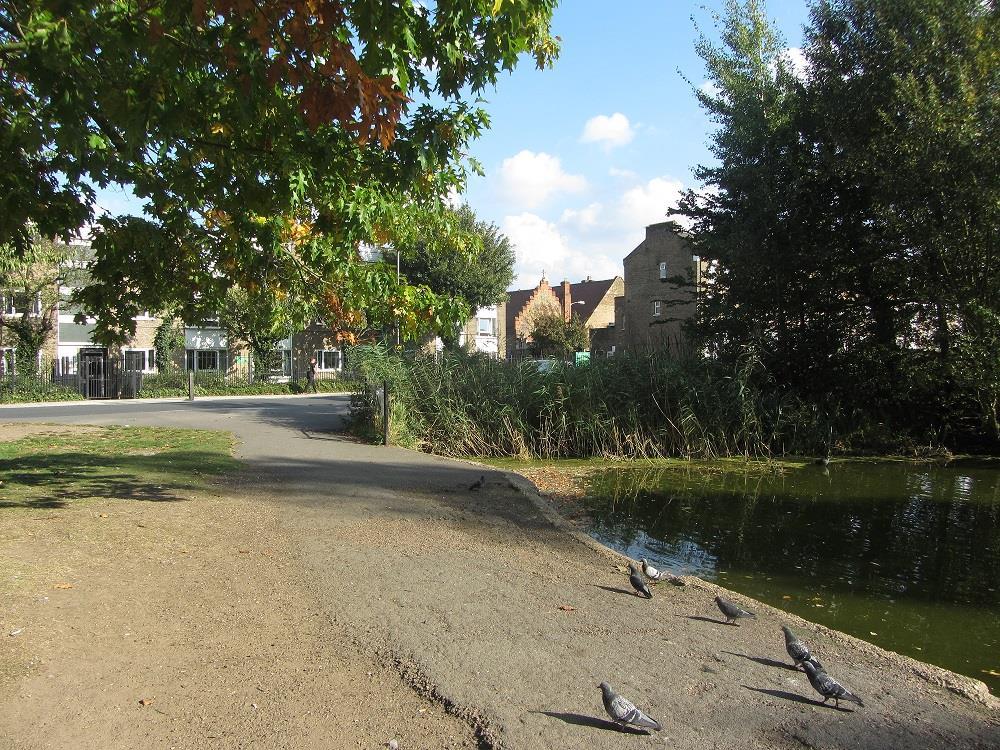 Pond.jpg