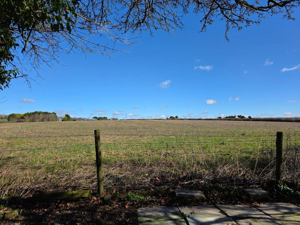 View from rear garden