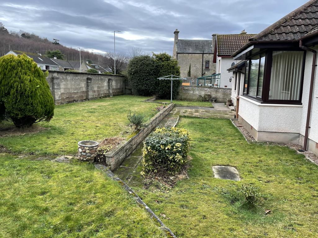 Back Garden 1.JPG