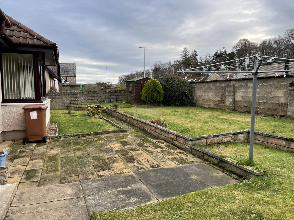 Back Garden 2.JPG
