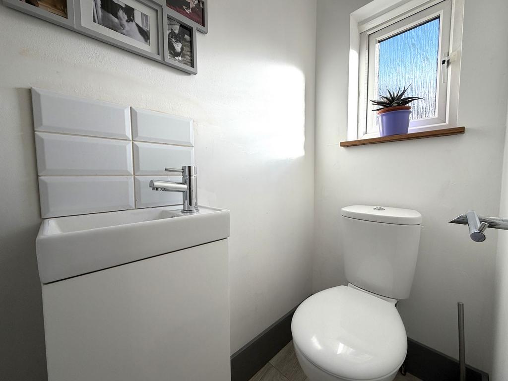 Picture 24