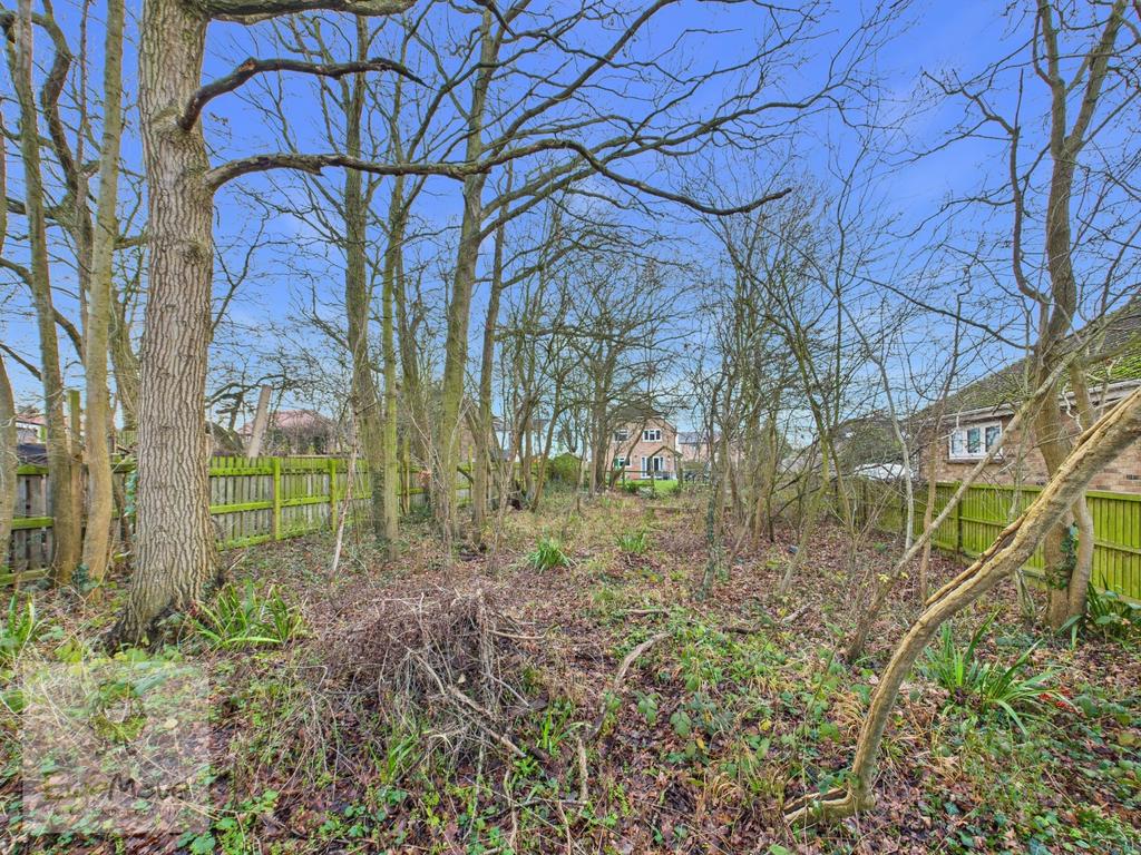 Woodland Garden