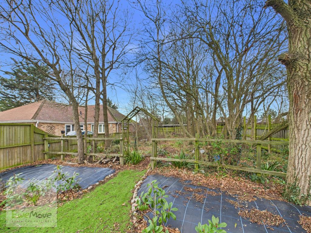 Woodland Garden