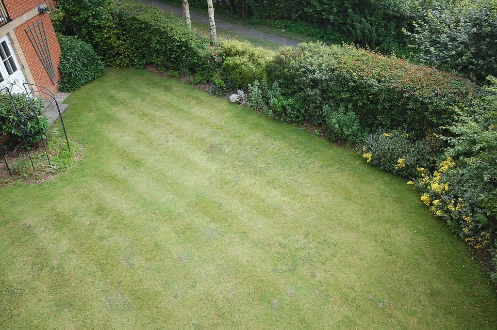 Communal Garden