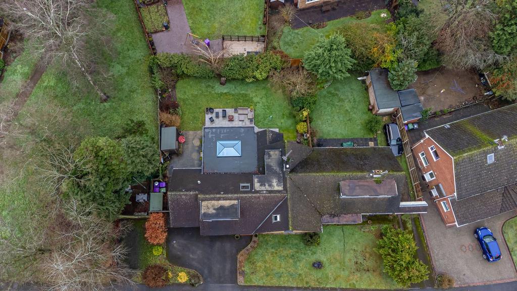 Plot View