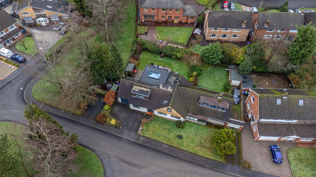 Plot View