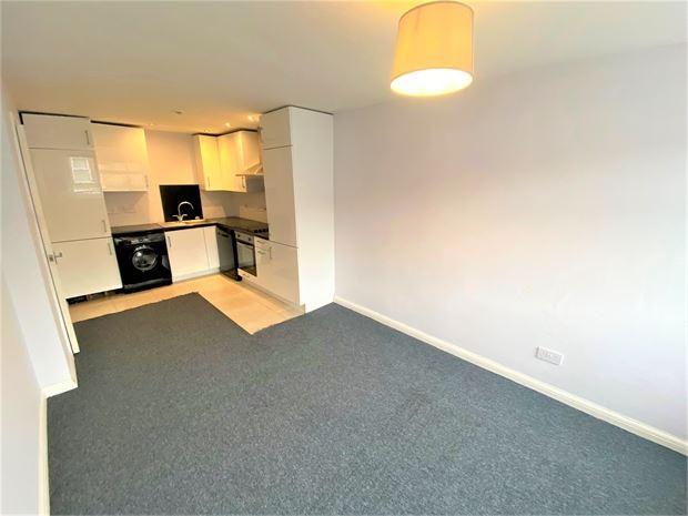 Open plane Lounge/Kitchen