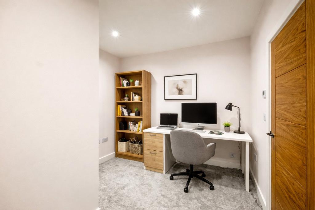 Study Area