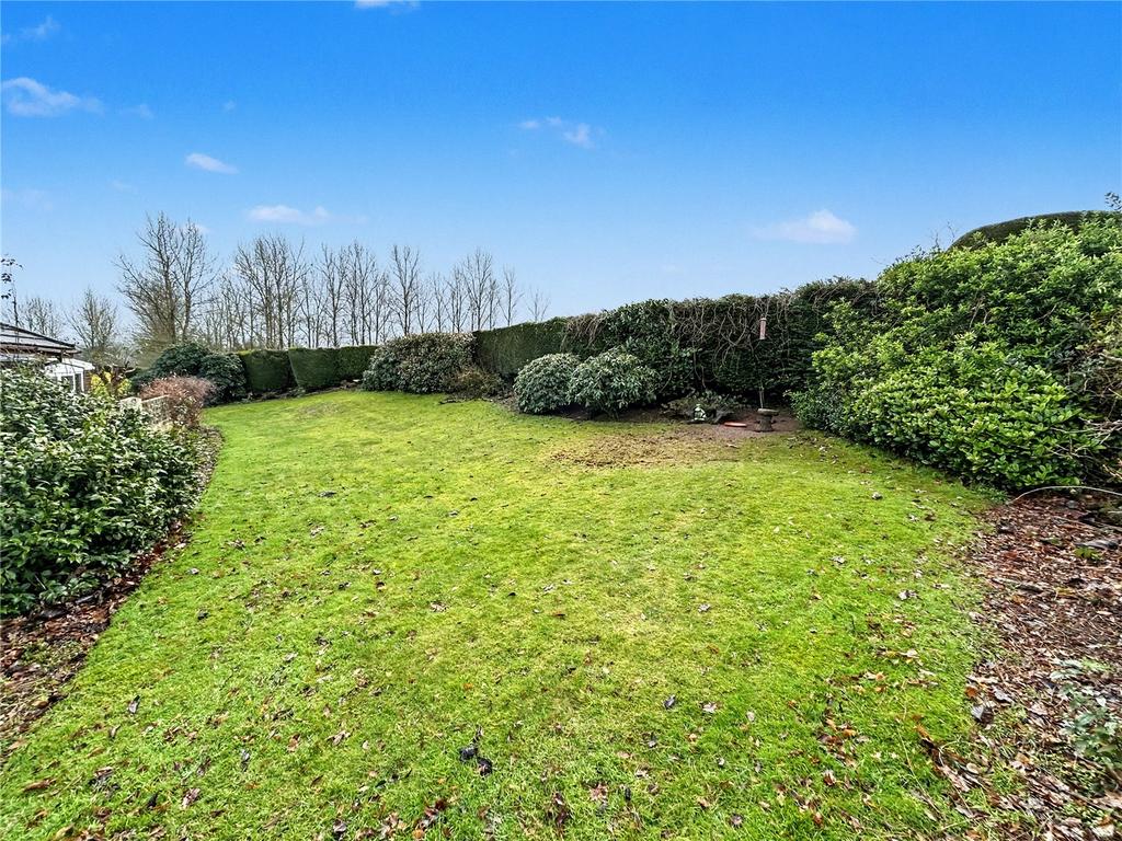 Garden,