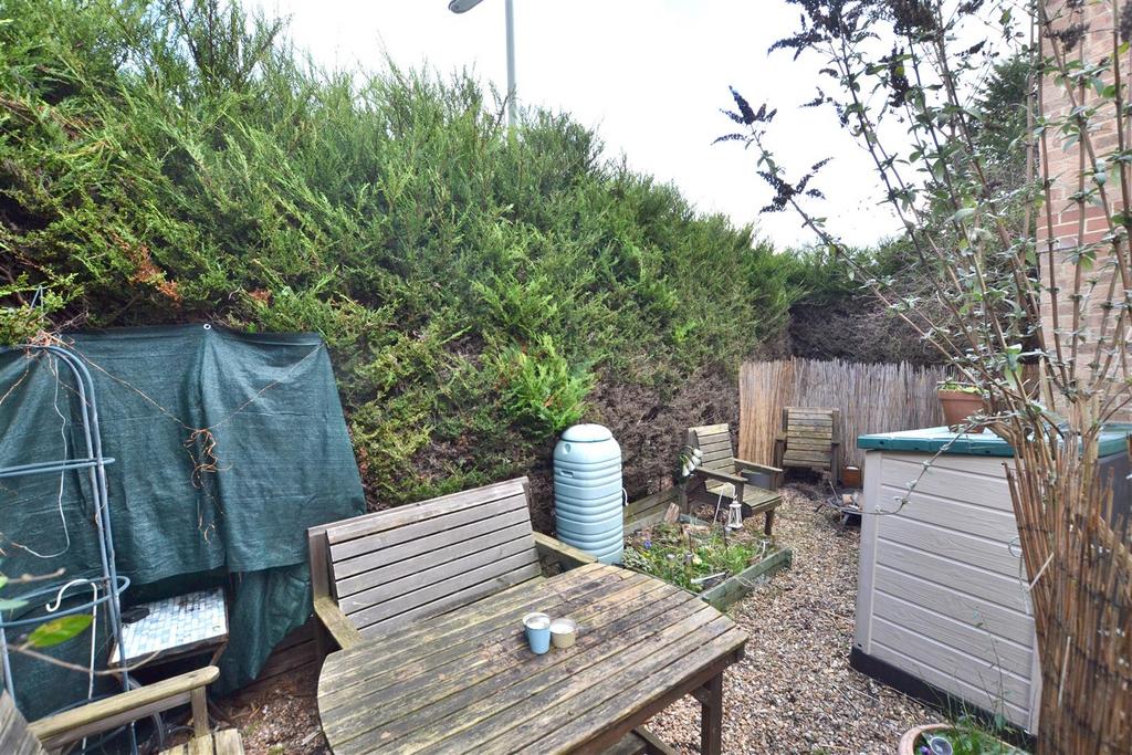 Garden.JPG