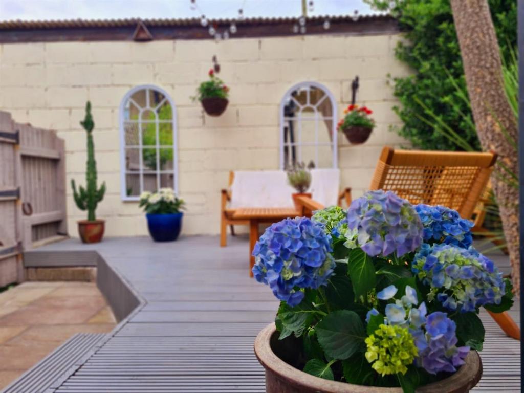 Garden livingstone.jpg