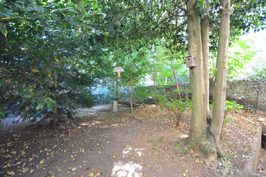 Dsc 0088.jpg