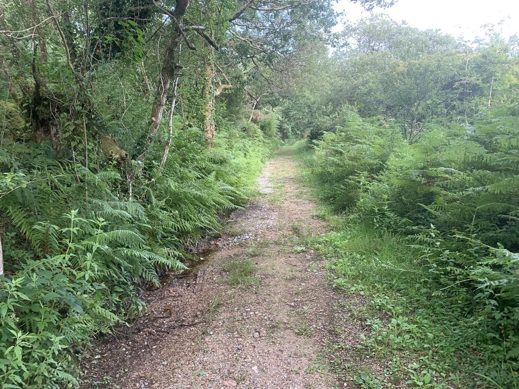 Access road