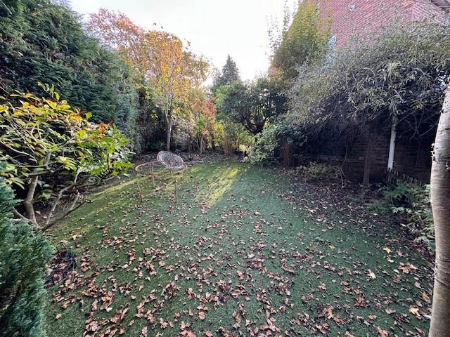 Garden 2.jpg