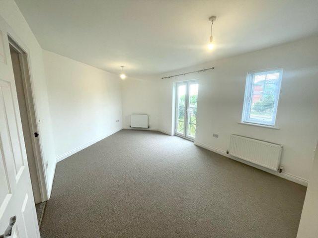 Image1
