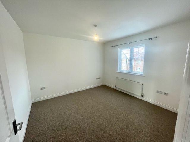 Image6