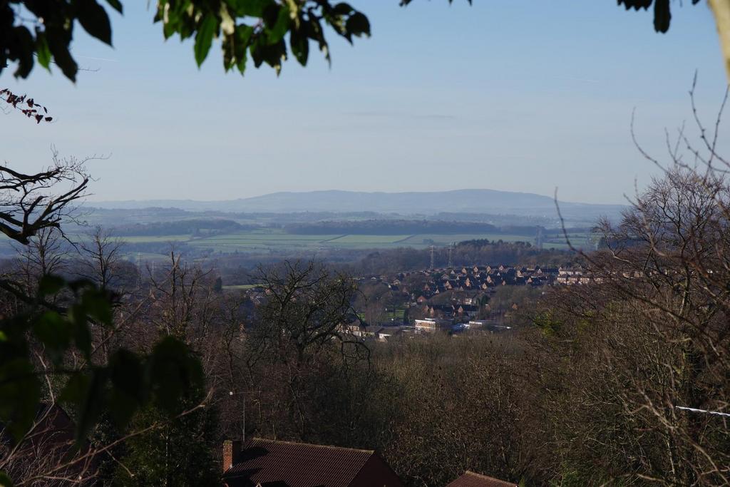 View.JPG