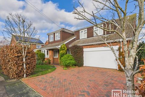 Bluebell Wood, Billericay