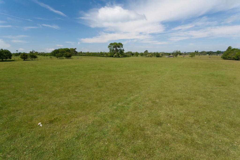 Grounds