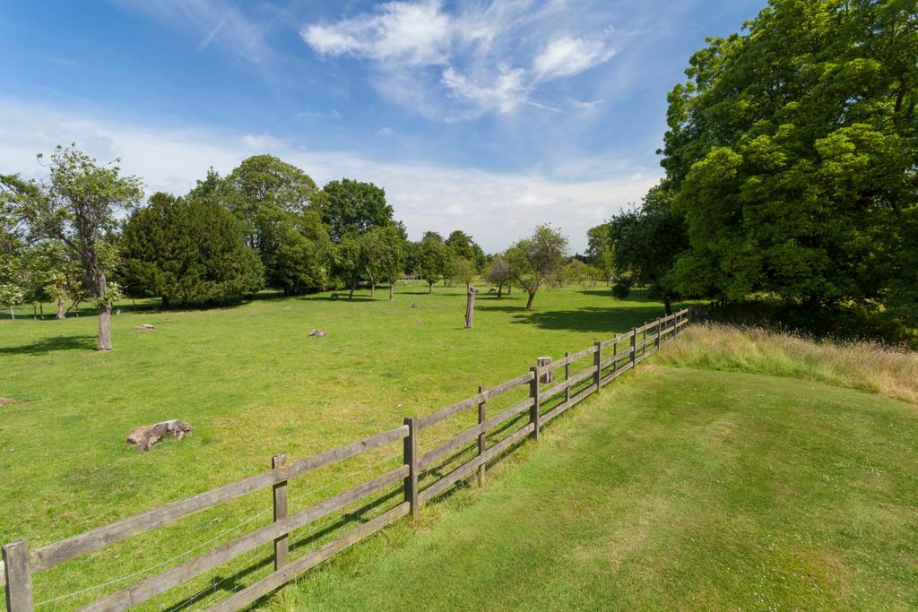 Grounds