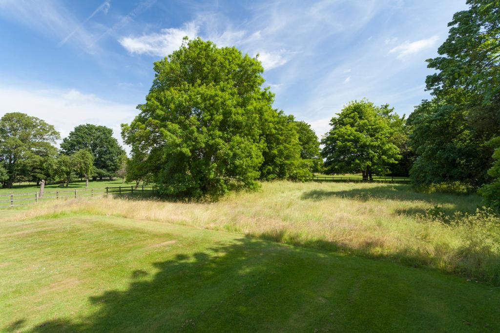 Grounds