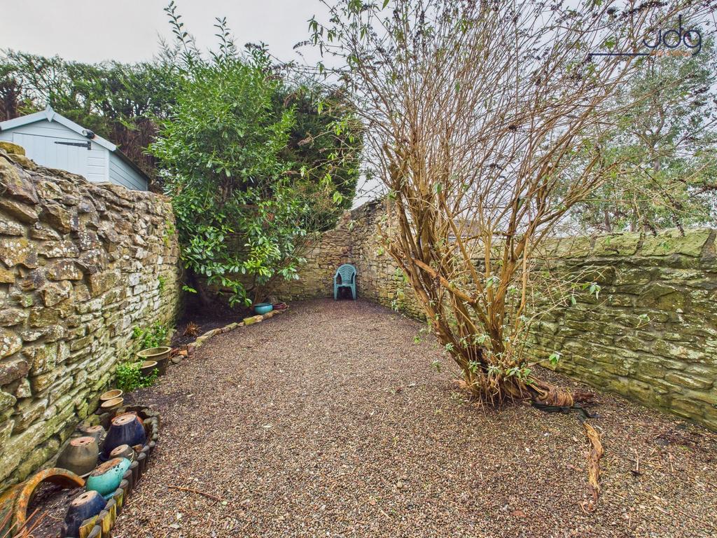 Spacious Garden with mature plants