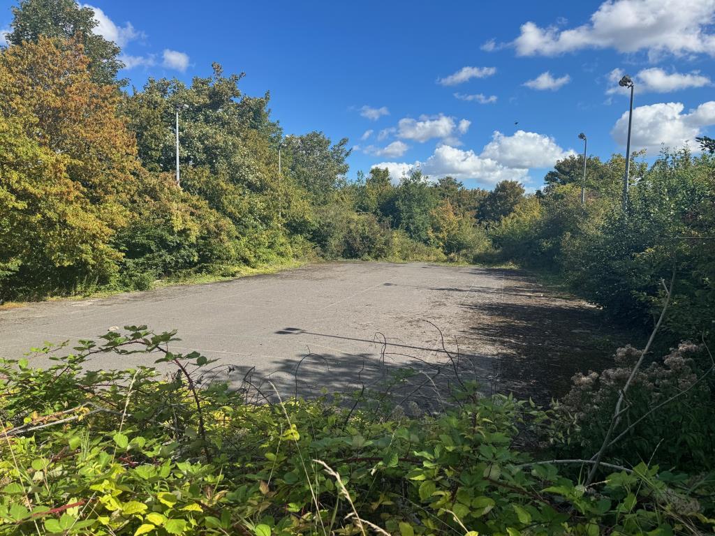 General view of site 1