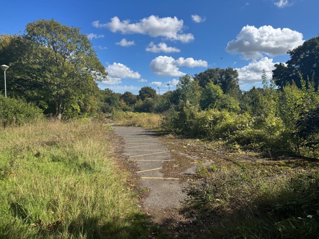 General view of site 2