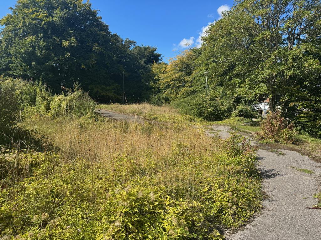 General view of site 6