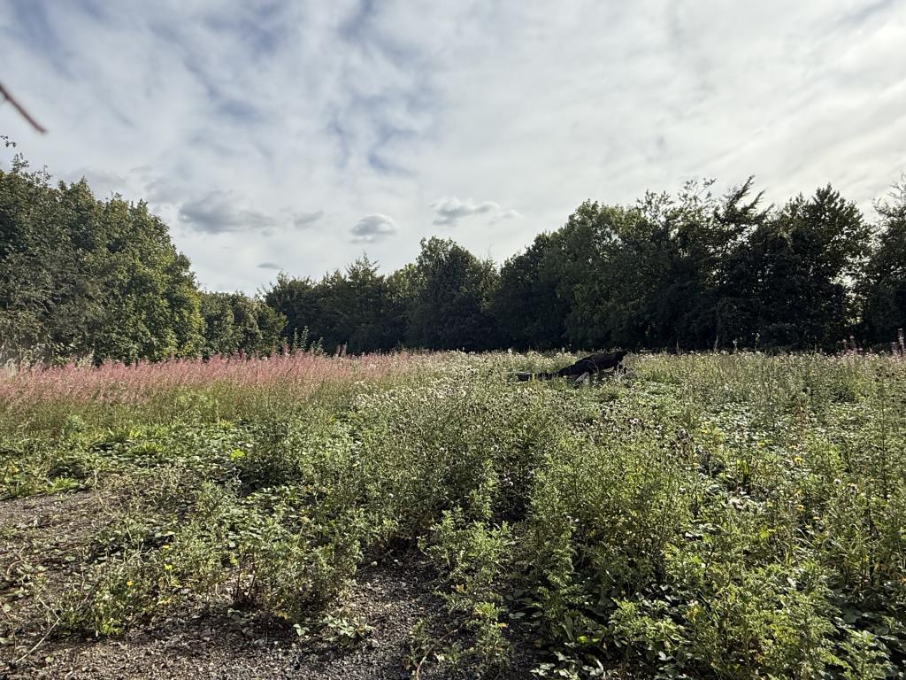 View of Site with Planning for Three Detached Hous