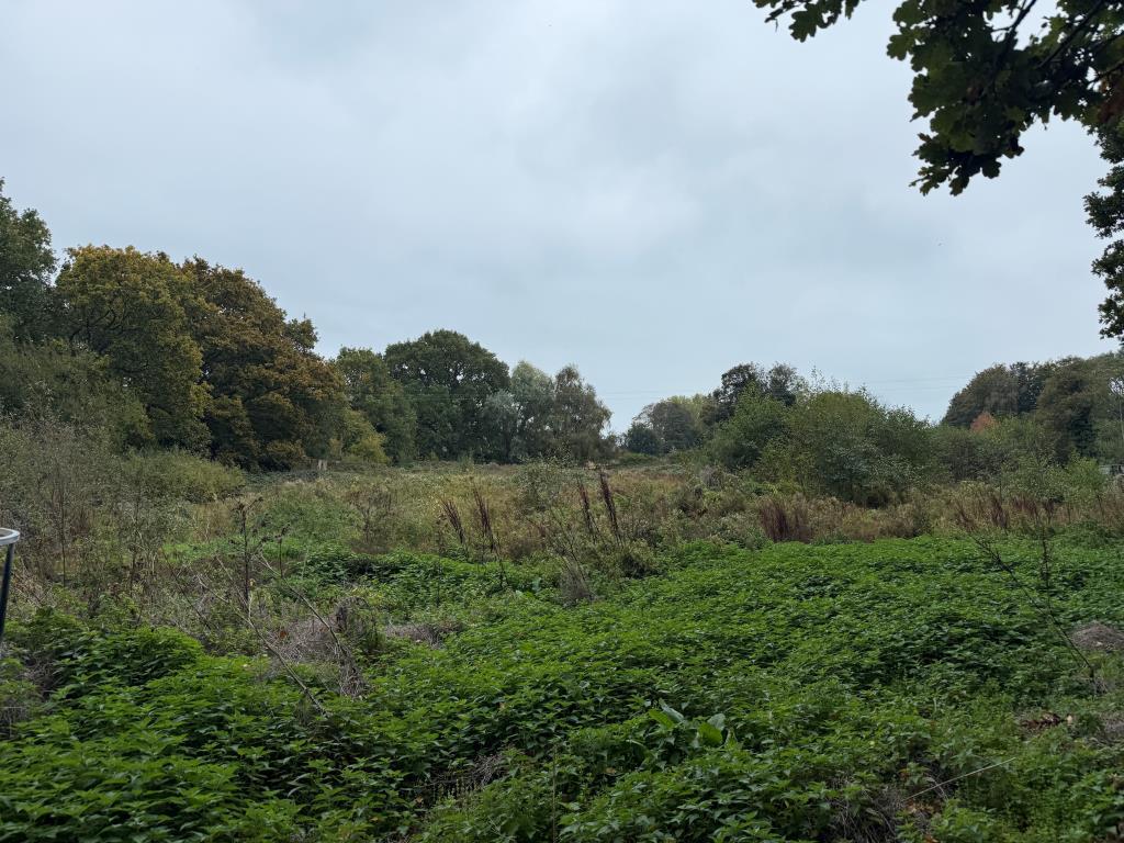 Field