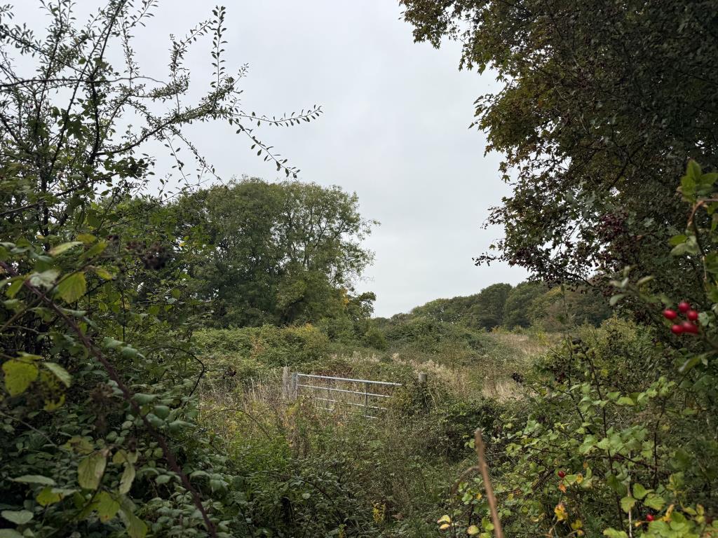 Access to field