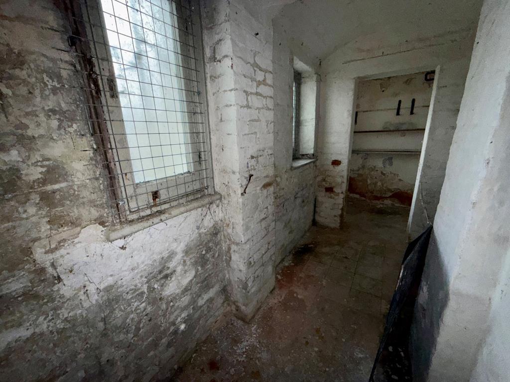 Basement area