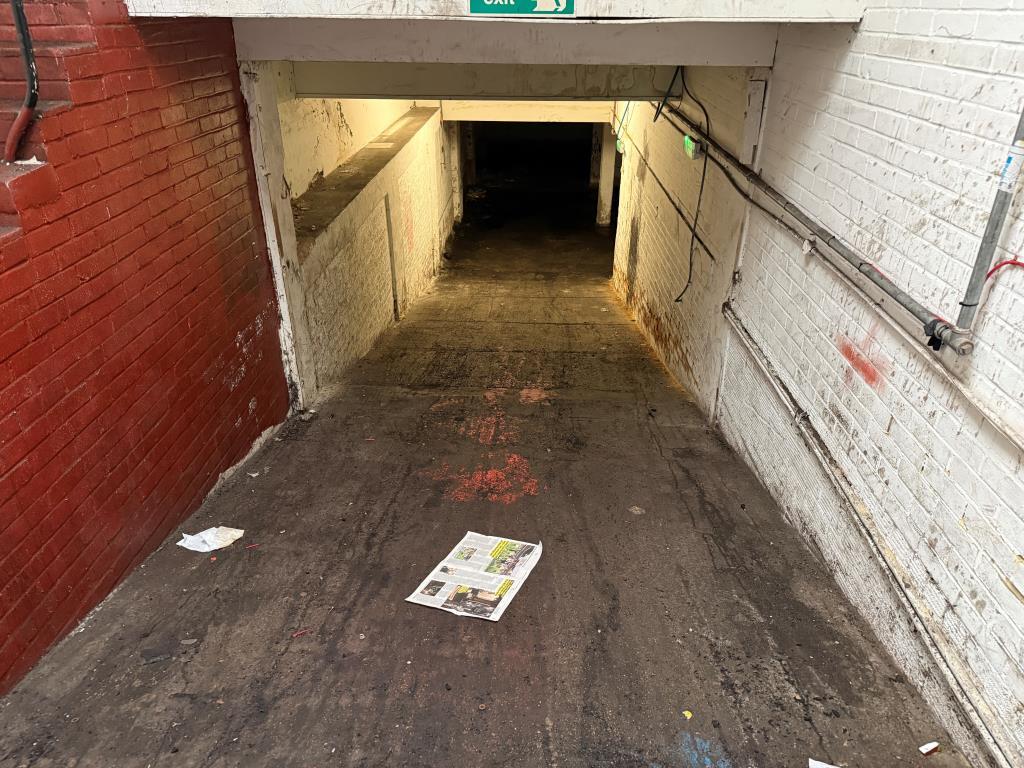View of driveway to lower ground floor