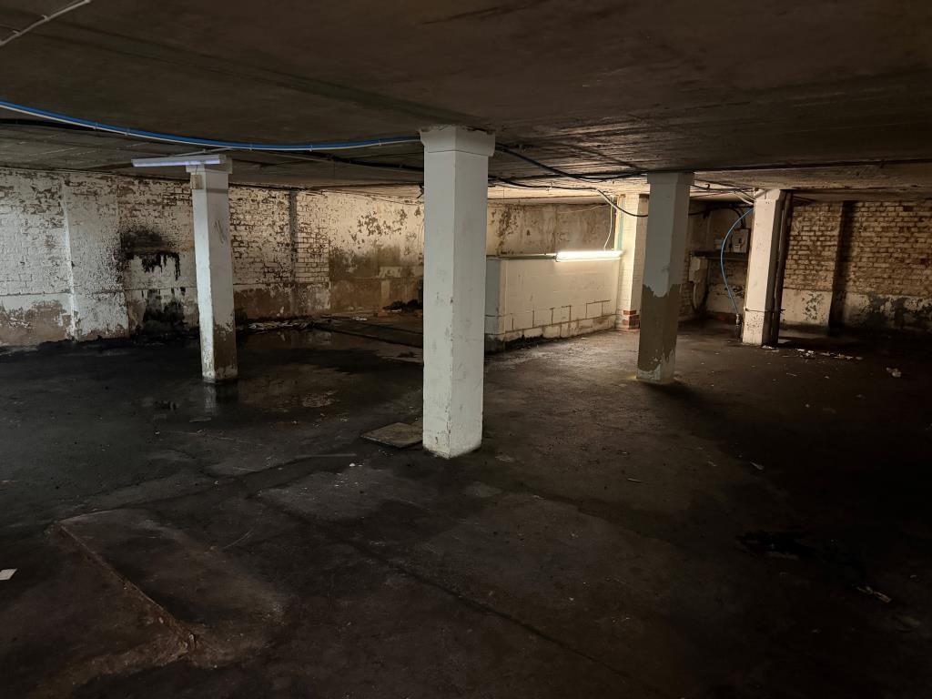 View of lower ground floor from rear