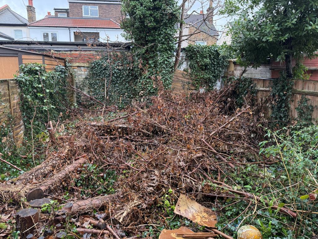 View of rear garden from side access