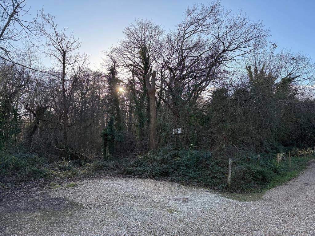 View of the site from Spring Lane with parking are