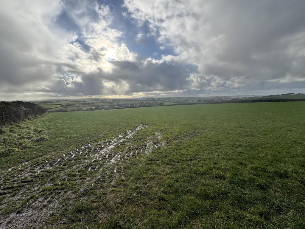 View of land