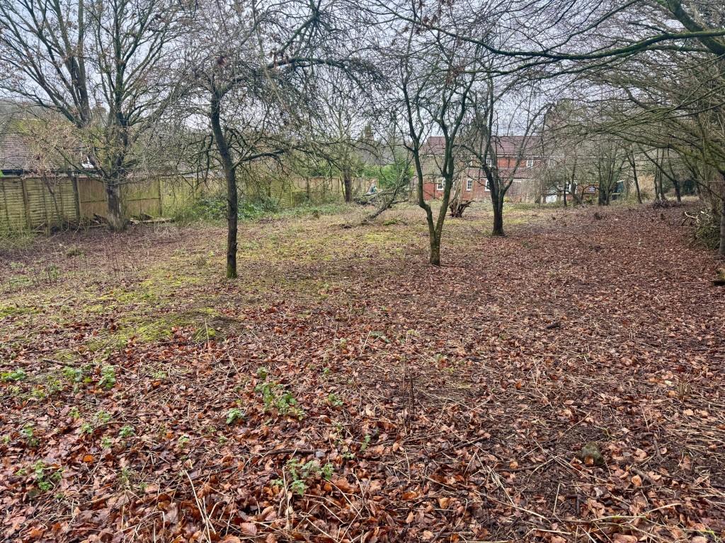 Middle land