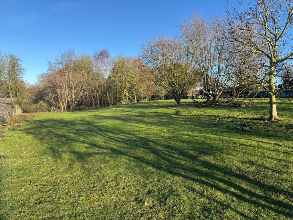 Top paddock