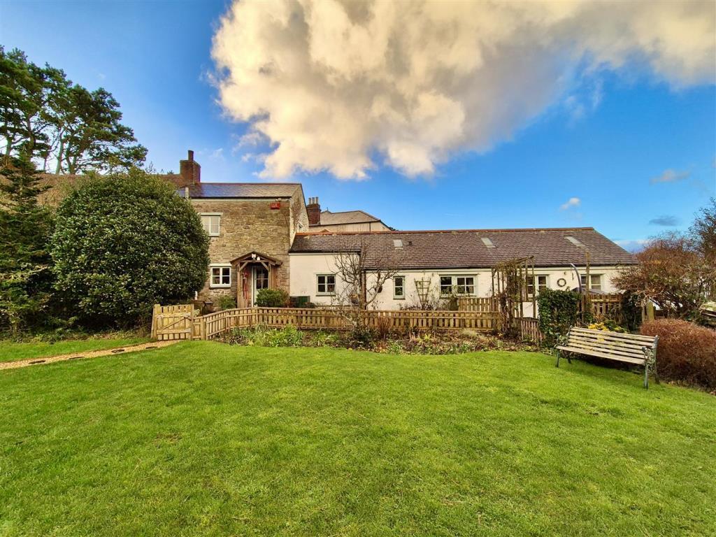 Garden and rear elevation of extension
