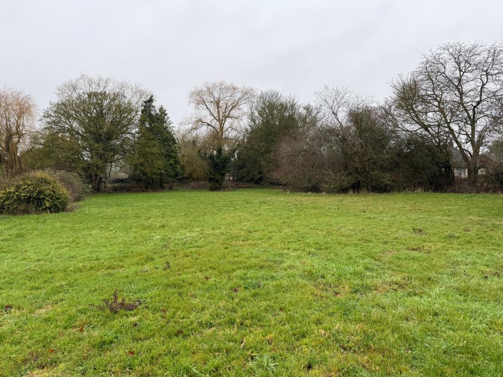 View of land looking back toward the road