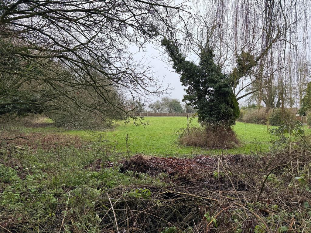 View of the land looking from the roadside