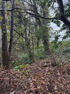 Land for sale, Land Adjacent To Parc An Dix Lane, Phillack, Hayle, Cornwall