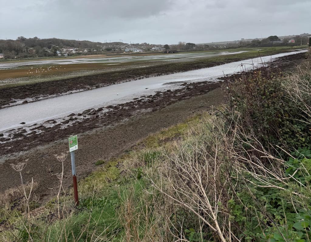 View from grass verge over Estuary