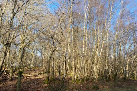 Land for sale, Plot A6, Shernfold Wood, Flimwell, Wadhurst, East Sussex